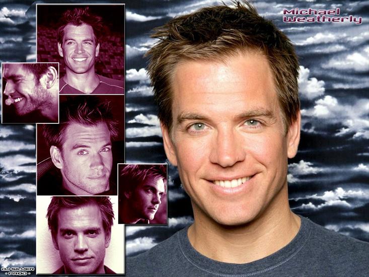 Michael Weatherly - weatherly1.jpg