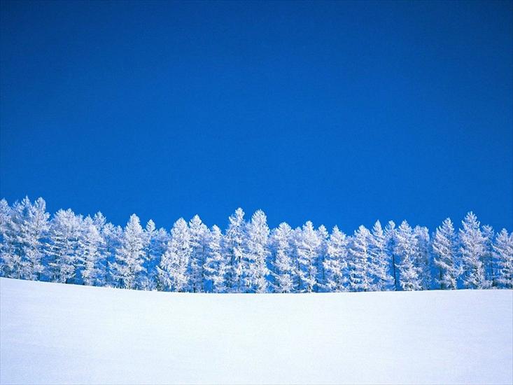 Krajobrazy - Winter Clearing - 1600x1200 - ID.jpg