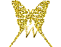 Motyle - 1W1.gif
