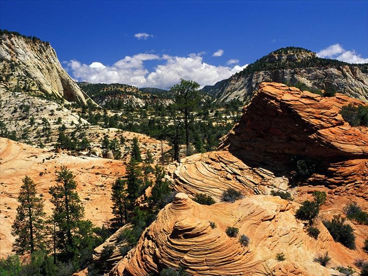 Krajobrazy różne - Swirling-Sandstone-Formations_-Zion-National-Park_-Utah.jpg