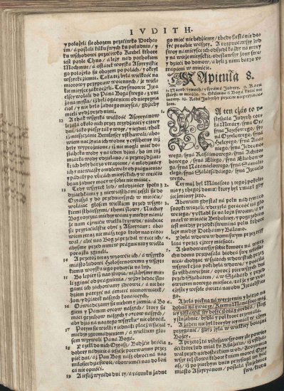 Biblia Brzeska 1563 Color 2000p JPGs - Biblia Brzeska 1051.jpg