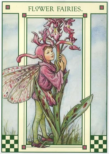 Cicely Mary Barker 1895-1973 -  .jpg