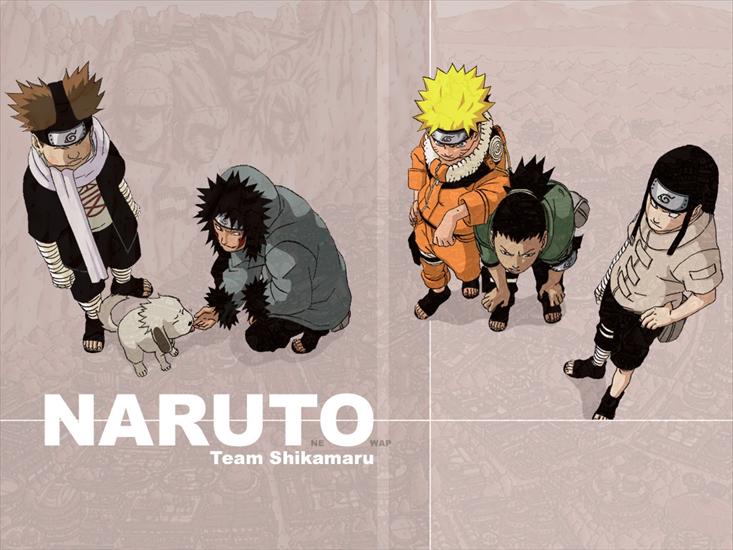 Naruto - team-shikamaru.jpg
