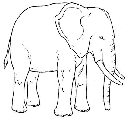 dziecko logo rozwój - słoń.bmp