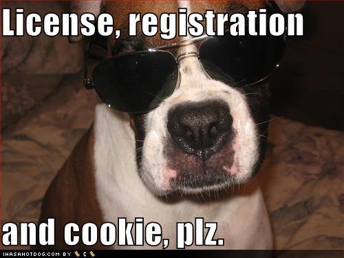 zwierzyniec - funny-dog-pictures-dog-asks-for-your-license-registration-and-cookie.jpg