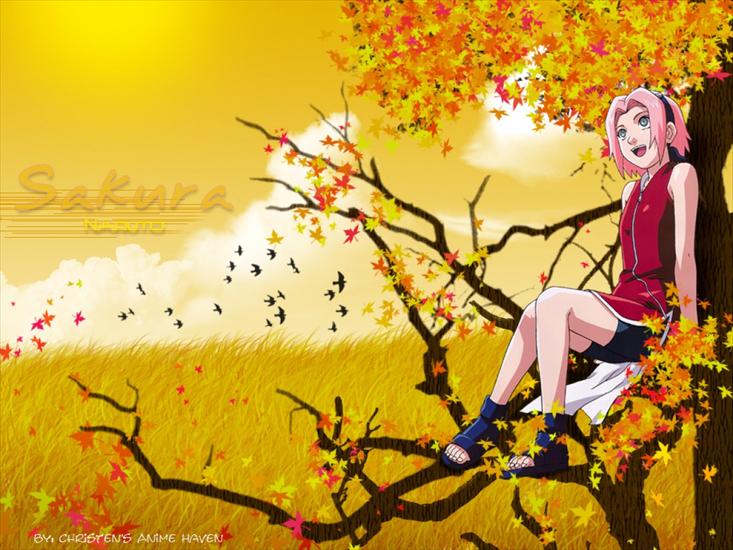 Naruto - sakura-in-a-tree.jpg