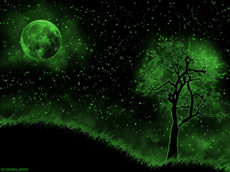   ŚWIAT  MARZEŃ   - Green_Night_Sky_by_burgulgoth.jpg