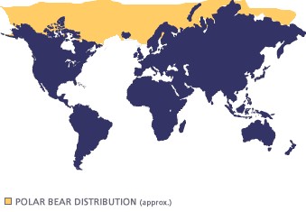fotki do prezentacji - Polar_Bear_Global_Map.jpg