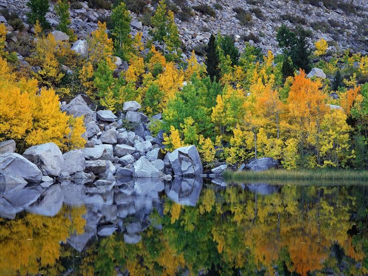 397 ujęć Natury HQ - Autumn Color, Eastern Sierra, California.jpg