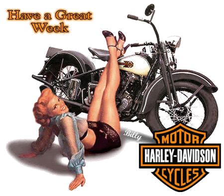 Harley Davidson - harley14.gif