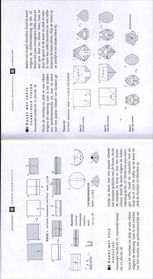 Fleurige origamikaarten - 20  21.JPG