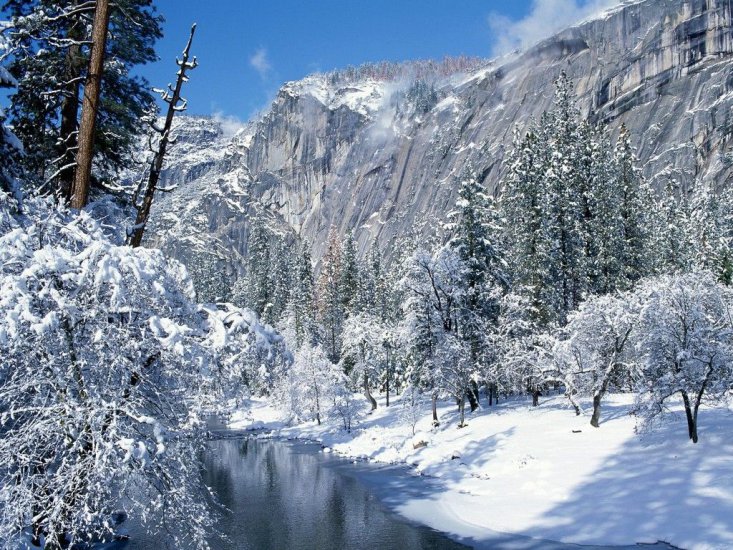 Krajobrazy - Snow Flocks Yosemite National Par.jpg