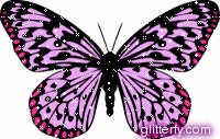Gif Motyle  Ruchome  - pink_butterfly.gif