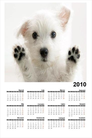 Kalendarze - kalendarz 2010 19.jpg
