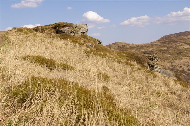 FOTO BIESZCZADY I - 2007 05 04 Bieszczady 131_edited-1.jpg