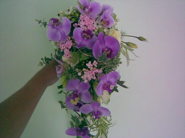 GIFY kwiaty - 4305200708180031.jpg