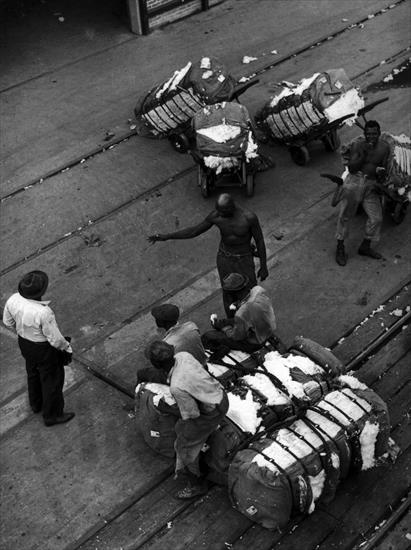Usa 1850-1954 - 1939  October, dockers of cotton bolls on the quays,...rs de balles de coton sur les quais, Houston, Texas.jpg