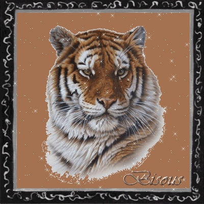 dzikie koty - Tygrys.gif