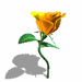 róże - roza_031.gif