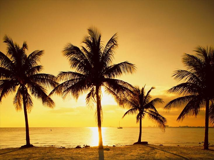 Słońce - Key Biscayne, near Miami, Florida - 1600x1200 - .jpg