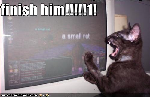 Koty - funny-pictures-mmorpg-cat.jpg