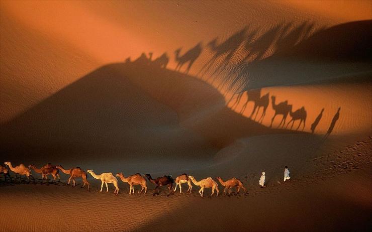 Wallpapers 1440x900 - Mauritanie.jpg