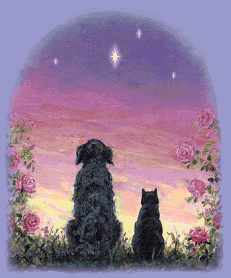 Pozdro - animated_dog_and_cat_memorial.gif