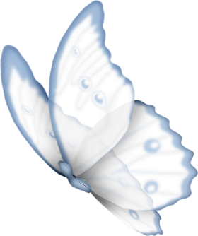motyle,owady - butterfly41.png