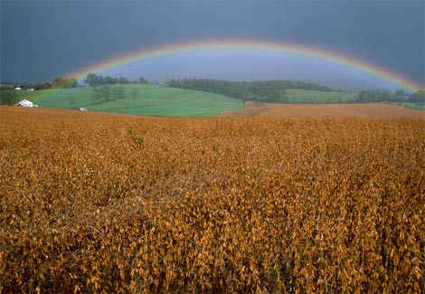 Tęczowo kolorowo - rainbow-picture-7.jpg